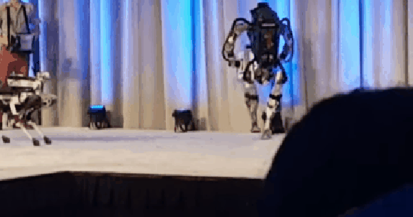 Vừa biểu diễn ngon lành xong, chú robot tội nghiệp trượt chân ngã ...