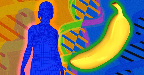 Tại sao ADN của con người và tinh tinh lại có mức độ giống nhau cao?