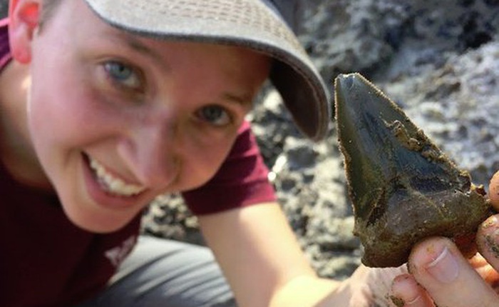 Phát hiện "nhà trẻ cá mập" 24 triệu năm tuổi, các nhà nghiên cứu đặt tên báo cáo khoa học mới là "Baby Megashark Do Do Do Do"