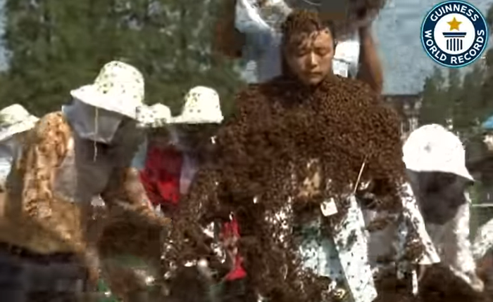 Kỷ lục Guinness đăng video siêu dị về "người ong" đạt hơn 5 triệu lượt xem sau vài giờ, dân mạng xem xong cũng gai hết cả người
