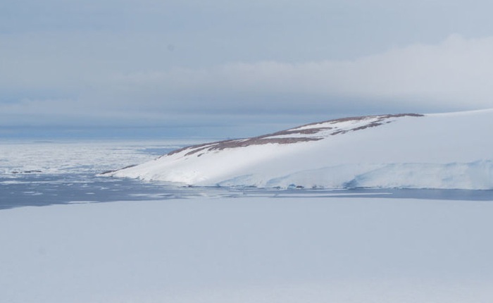 Băng tan ở Nam Cực làm lộ ra "xác ướp" 800 năm tuổi vẫn còn nguyên vẹn của chim cánh cụt