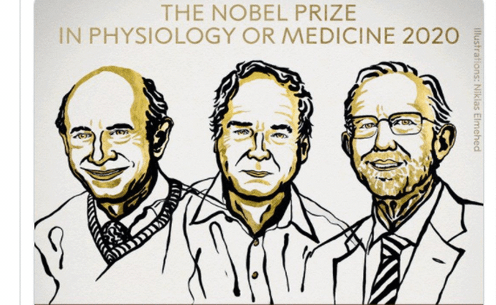 Giải Nobel Y học 2020 vừa được trao cho khám phá về virus viêm gan C đã cứu sống hàng triệu người