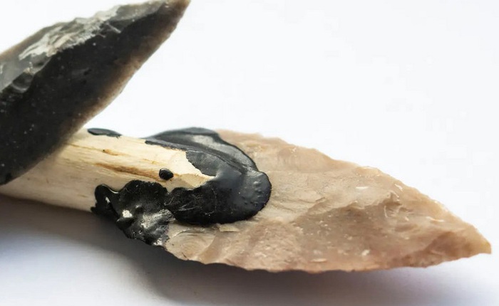 Loài người thuở sơ khai đã biết cách sử dụng lửa để rèn công cụ bằng đá từ cách đây 300.000 năm trước?