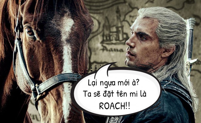 The Witcher: Sử dụng nhiều hơn 1 con ngựa nhưng tại sao Geralt luôn gọi chúng là Roach?