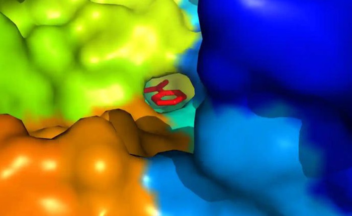 Các nhà khoa học đã tổng hợp được một loại "siêu enzym" mới có khả năng phân hủy nhựa gấp 6 lần