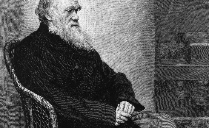 160 năm sau, các nhà khoa học thừa nhận Charles Darwin đã đúng về việc lý do tại sao côn trùng mất khả năng bay
