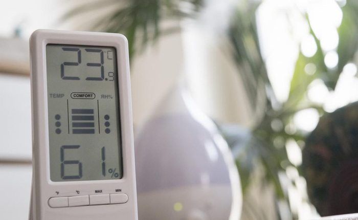 Muốn hệ miễn dịch khoẻ mạnh và phòng ngừa COVID-19, chuyên gia khuyến cáo nên để độ ẩm trong nhà từ 40-60%