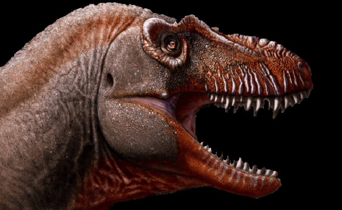 Phát hiện loài khủng long ăn thịt mệnh danh 'khủng long thần chết' sống cách đây 79,5 triệu năm