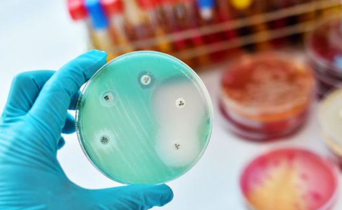 Trí tuệ nhân tạo vừa tìm ra một loại siêu kháng sinh mới, có thể tiêu diệt vi khuẩn kháng kháng sinh nguy hiểm nhất