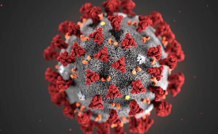 Nghiên cứu mới: Chủng virus corona mới giống virus gây SARS tới 79,5%, ta có thể ứng dụng những phương pháp chữa bệnh cũ