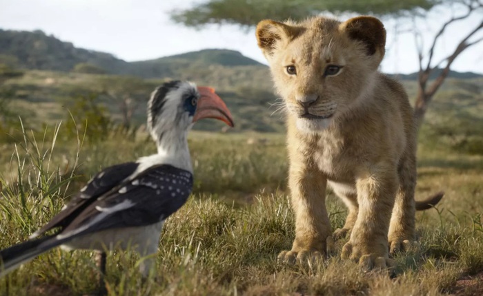CEO Disney xin lỗi sau vụ việc một trường tiểu học bị phạt vì chiếu Lion King
