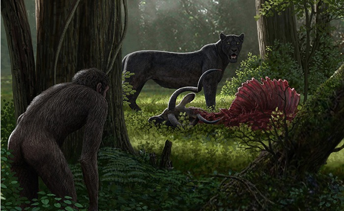 Tổ tiên của loài người đã từng gây ra sự tuyệt chủng của động vật từ 4 triệu năm về trước