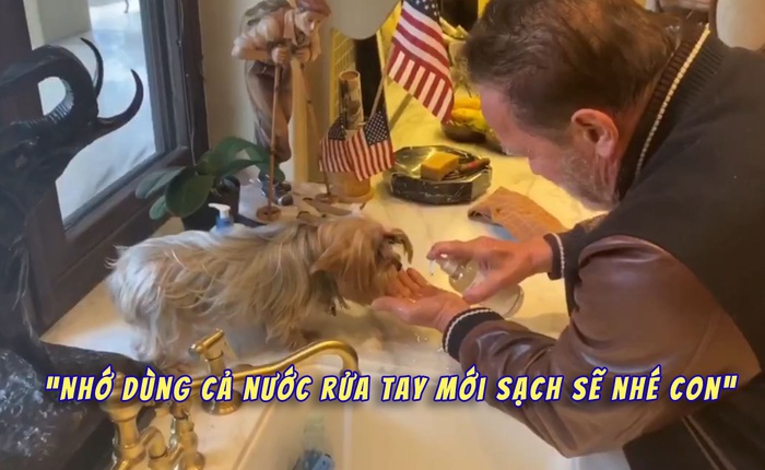 “Kẻ hủy diệt” Arnold Schwarzenegger tự cách ly tại nhà với thú cưng để tránh Covid-19, quay cả video dạy “boss” cún rửa tay đúng cách