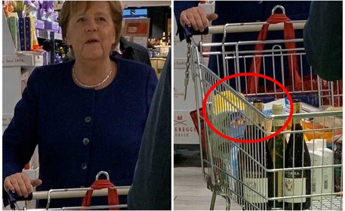 Thủ tướng Đức giản dị đứng xếp hàng đi siêu thị giữa dịch Covid-19, lại còn chỉ mua đúng số lượng hàng hóa cho phép khiến ai cũng ngưỡng mộ