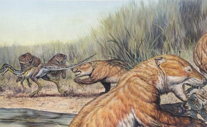 Tại sao không có động vật có vú khổng lồ trong kỷ nguyên khủng long?
