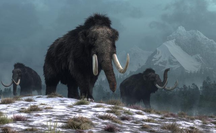 Phát hiện cấu trúc khổng lồ được làm từ xương voi ma mút 25.000 năm trước