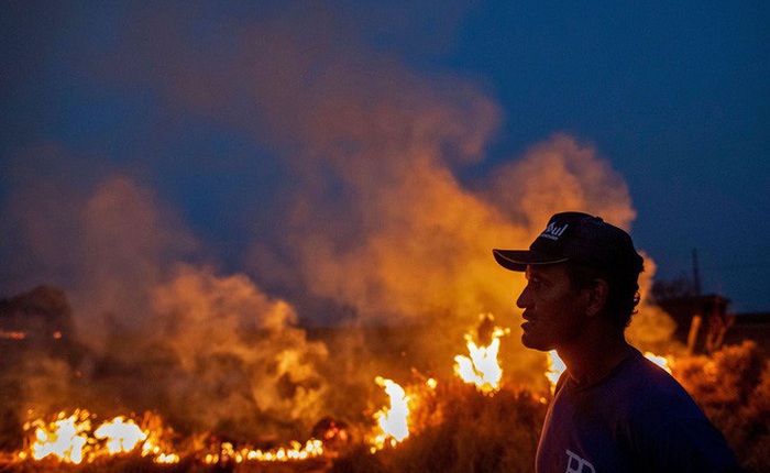 Rừng Amazon vẫn đang cháy ngày càng dữ dội hơn: 1.202 km2 rừng bị xóa sổ trong 4 tháng, ngang bằng diện tích một quốc gia