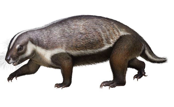 Loài "quái vật điên" ở Madagascar từng sống cạnh những con khủng long cuối cùng