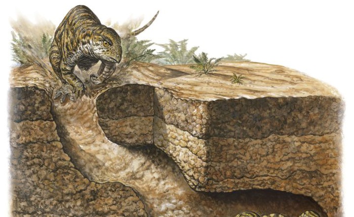 Phát hiện loài khủng long sống dưới lòng đất 100 triệu năm trước