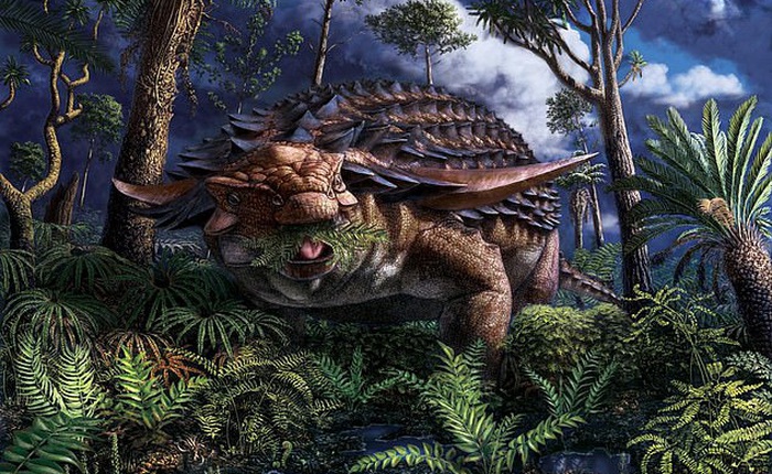 Phát hiện 'bữa ăn' được bảo quản nguyên vẹn trong dạ dày khủng long bọc giáp sống cách đây 110 triệu năm