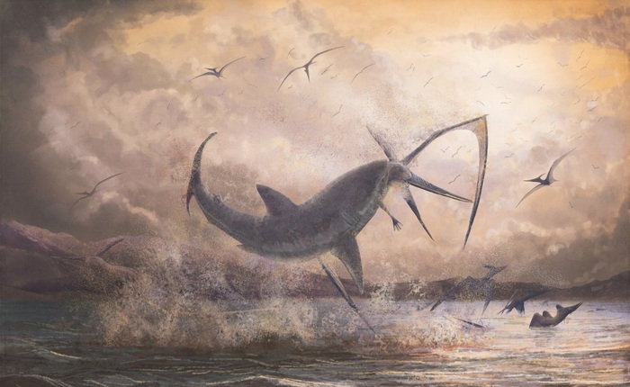 Bằng chứng khảo cổ cho thấy cá mập cổ đại đã phi lên khỏi mặt nước để tấn công thằn lằn bay