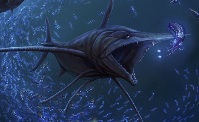 Phát hiện loài "cá kiếm" cổ đại với hàm răng sắc nhọn ngoại cỡ