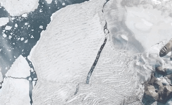 Hình ảnh vệ tinh cho thấy những ngày cuối cùng của thềm băng duy nhất còn sót lại ở Canada trước khi biến mất