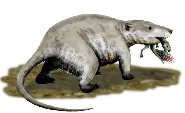 Tìm thấy dấu vết của động vật có vú trên hóa thạch của loài khủng long Mamenchisaurus