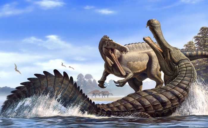Cá sấu khổng lồ thời tiền sử sống ở Châu Phi có thể nuốt chửng khủng long