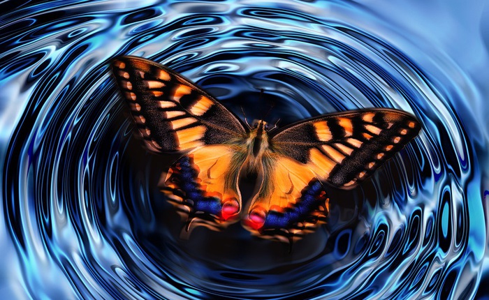 'Hiệu ứng cánh bướm' là sai, các nhà khoa học đã chứng minh được điều này ở cấp độ lượng tử