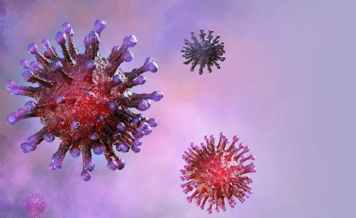 Coronavirus liên tục gây ngạc nhiên khi được phát hiện có khả năng chịu nhiệt, tự phục hồi và rất đàn hồi