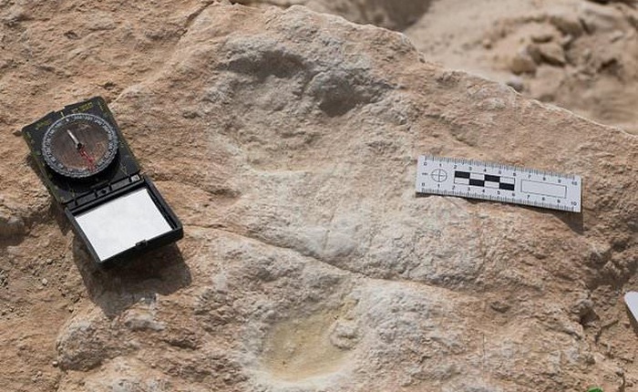 Hồ nước cạn khô trên sa mạc hé lộ một loạt dấu chân 120.000 năm tuổi của tổ tiên chúng ta