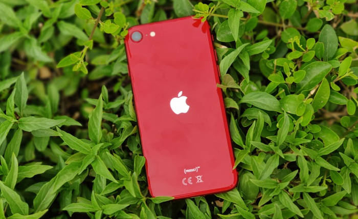 iPhone SE 3 sẽ trông giống như iPhone 7?
