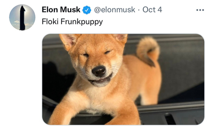 Như chưa hề tăng, Elon Musk vừa tweet 'tôi không sở hữu đồng Shiba Inu nào', ngay lập tức giá 'coin chó' giảm