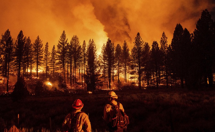 Các vụ cháy rừng kỷ lục liên quan đến hoạt động của con người sẽ ngày càng trở nên tồi tệ hơn
