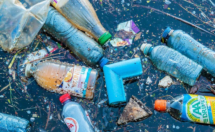 Sau 160 năm con người xả rác nhựa vào môi trường, vi khuẩn đã tiến hóa để ăn được chúng