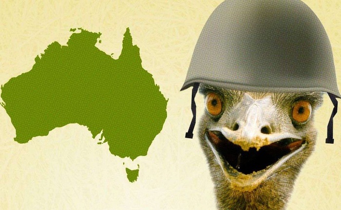 Đại chiến Emu năm 1932, sự kiện hy hữu chỉ có thể xảy ta tại Úc