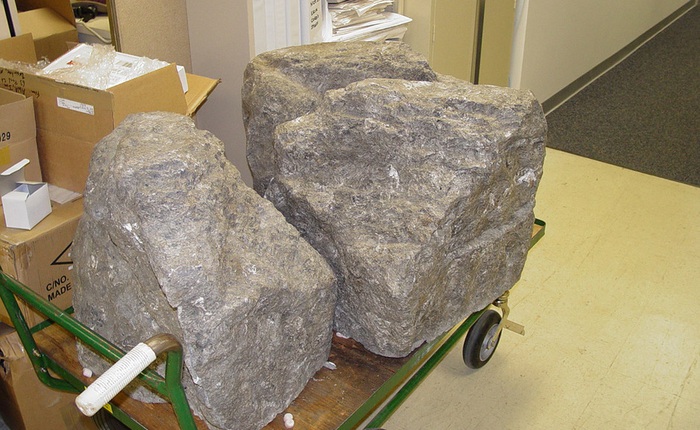 "Hòn đá phù thủy" do học viên quân sự Nga chế tạo hóa ra lại là thiết bị gián điệp công nghệ cao