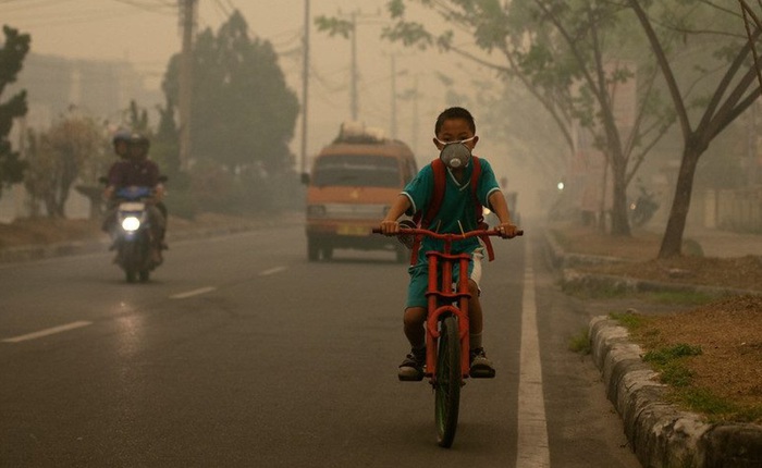 Ô nhiễm không khí do đốt nhiên liệu hóa thạch gây ra cái chết cho 8,7 triệu người trong năm 2018?