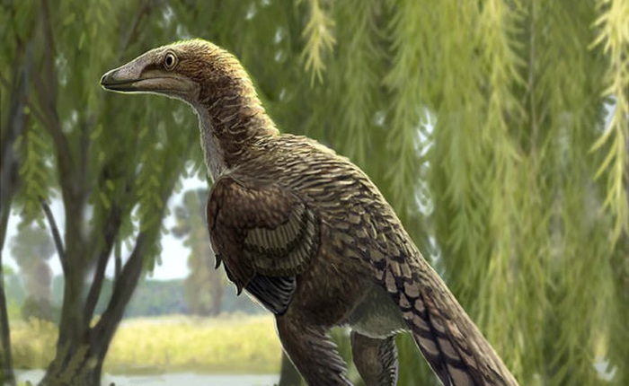 Một loài khủng long mới được phát hiện tại Tây Ban Nha có vẻ ngoài gần giống như loài chim hiện đại
