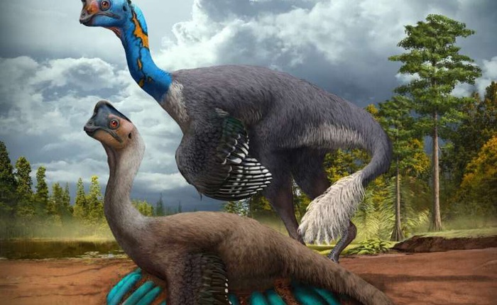 Phát hiện hóa thạch khủng long chết trong khi đang ấp trứng với những con non đang nở