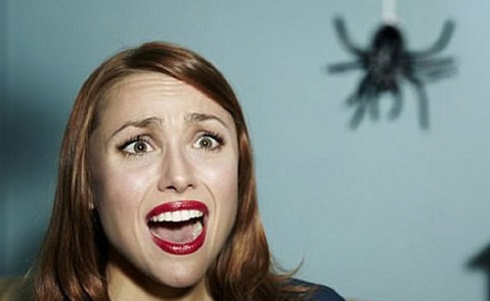 Cứ gặp nhện là đánh – Liệu chúng ta có nên giết những con nhện nhà hay không?