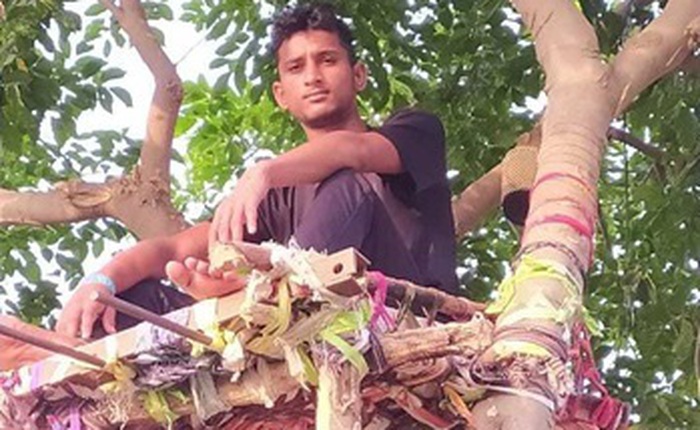 Ấn Độ: Nhiều bệnh nhân Covid-19 tự cách ly hàng chục ngày trên cây như trong phim Tarzan