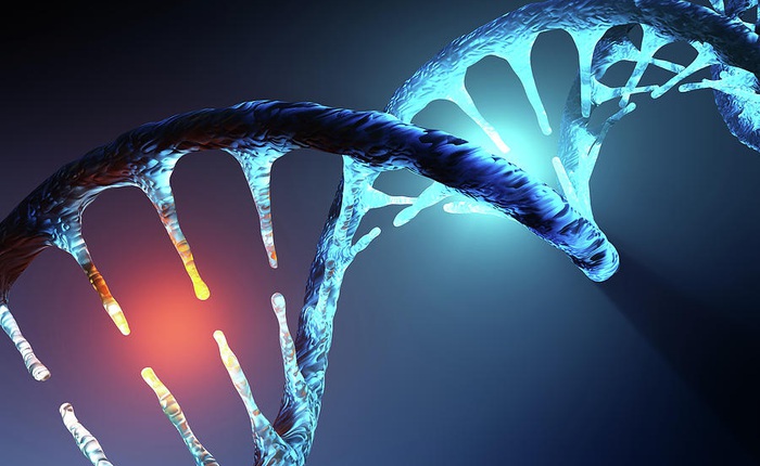 Các nhà nghiên cứu tại Harvard phát triển thành công cách thức chỉnh sửa gen mới hữu hiệu hơn cả CRISPR