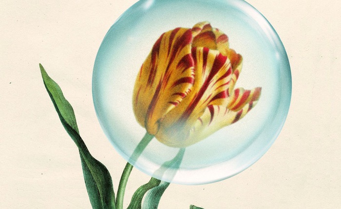 Từ cơn sốt hoa tulip đến sự bùng nổ của cổ phiếu internet: Diễn biến thị trường hiện có điểm gì tương đồng so với những quả bong bóng trước đây?