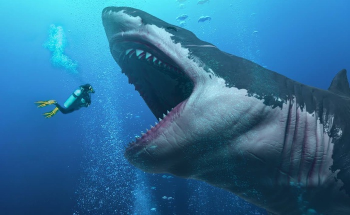 Cá mập khổng lồ Megalodon dĩ nhiên có thật, thậm chí ccó thể còn lớn hơn chúng ta nghĩ