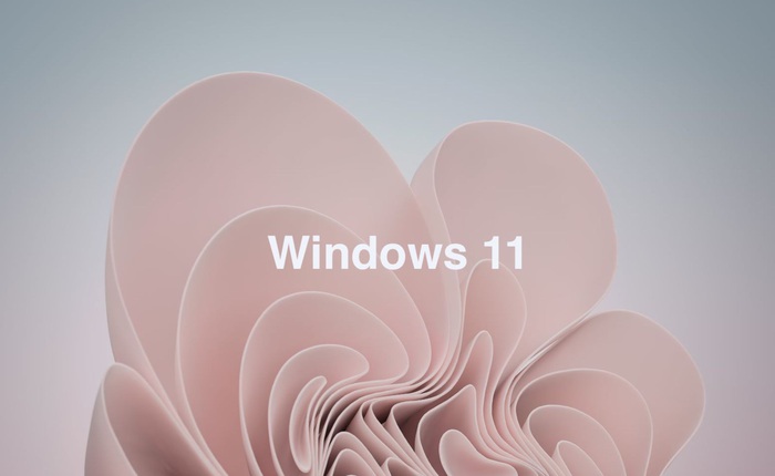 Không chỉ Windows 11, Microsoft chuẩn bị ra mắt cả Windows 11 "SE"