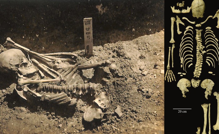 Bí ẩn Tsukumo số 24: Bộ hài cốt 3.000 năm tuổi không tay không chân ở Nhật Bản
