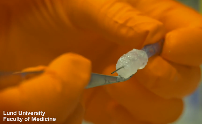 Phát triển thành công loại mực sinh học mới, có thể dùng để in 3D nội tạng cấy ghép trong tương lai