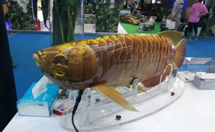 Quân đội Trung Quốc trình diễn robot thăm dò dưới nước ngụy trang hình cá rồng